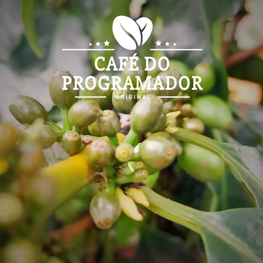 O que Esperar do Mercado de Café para 2024