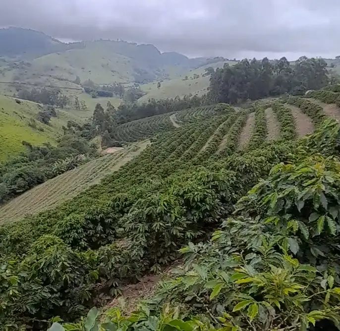 Sustentabilidade
